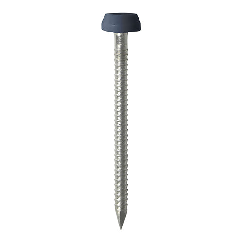 Polymer Headed Pin A GREY 30mm - 250 PCS ( 250 PCS - Box PP30AG, TIMCO, POLYMER, HEADED, PINS, A4, STAINLESS, STEEL, ANTHRACITE, GREY, 30MMIMPACT, UV, RESISTANT, A4, STAINLESS, STEEL, POLYMER, HEADED, NAILS, USED, FIXING