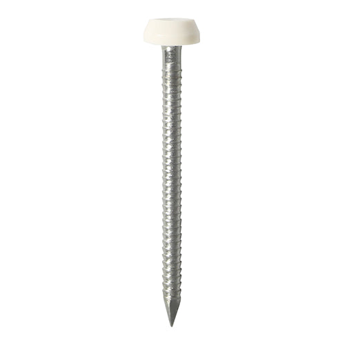 Polymer Headed Pin WHITE 25mm - 250 PCS (B 250 PCS - Box PP25W, TIMCO, POLYMER, HEADED, PINS, A4, STAINLESS, STEEL, WHITE, 25MMIMPACT, UV, RESISTANT, A4, STAINLESS, STEEL, POLYMER, HEADED, NAILS, USED, FIXING, SOFFITS,